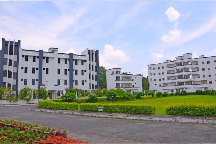 Shri Ram Murti Smarak International Business School, Lucknow