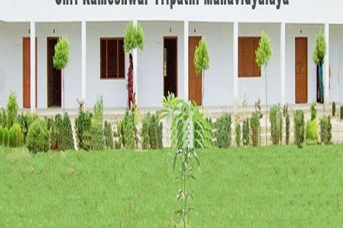 Shri Rameshwar Tripathi College, Rae Bareli