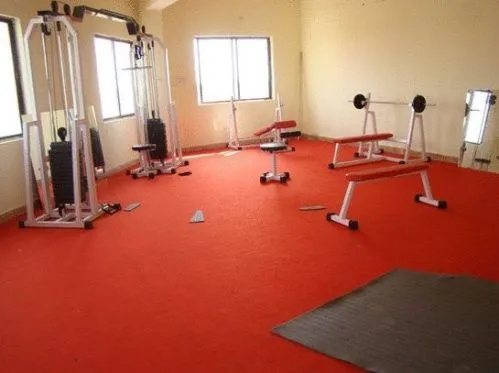 Shri Shankaracharya Institute of Professional Management and Technology, Raipur