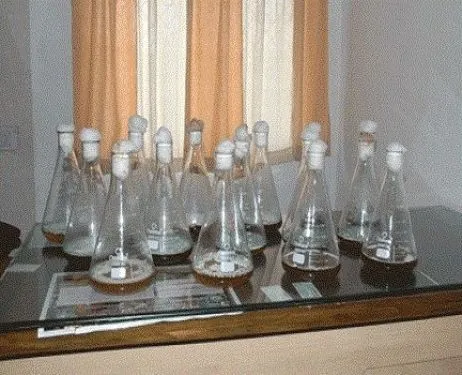 Shri Shivaji College of Agricultural BioTechnology, Amravati