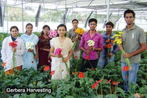 Shri Shivaji College of Horticulture, Amravati