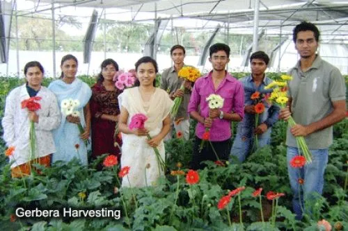 Shri Shivaji College of Horticulture, Amravati