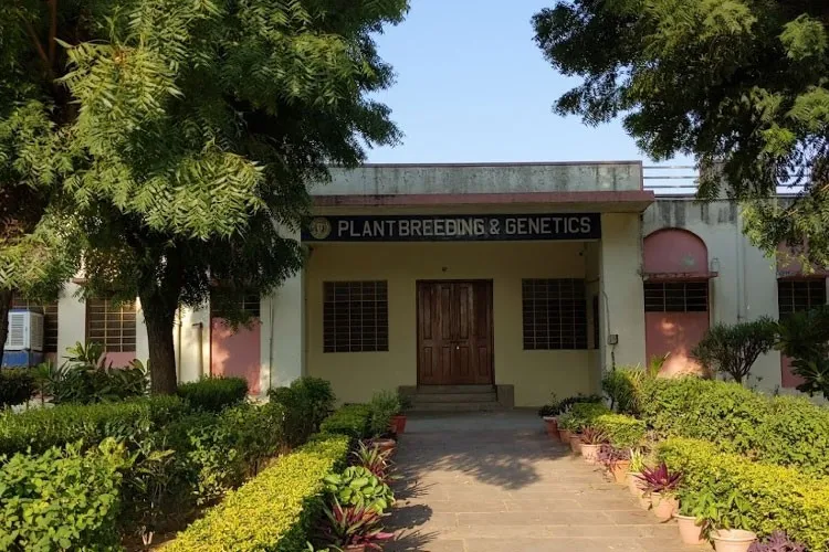 SKN College of Agriculture, Jaipur