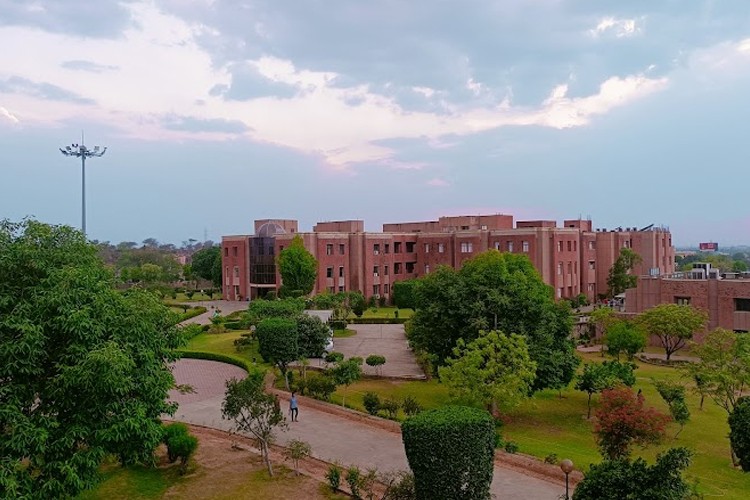 Sobhasaria Group of Institutions, Sikar