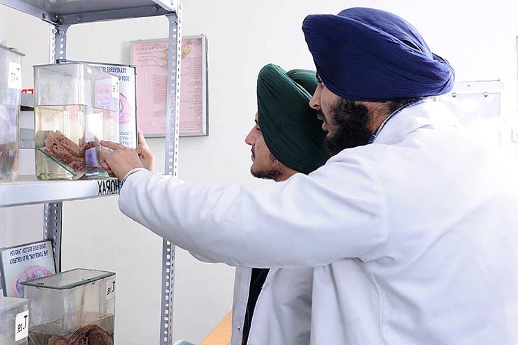 Sri Guru Ram Das Institute of Medical Sciences & Research, Amritsar