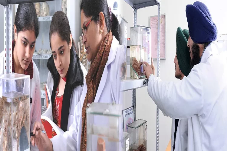 Sri Guru Ram Das Institute of Medical Sciences & Research, Amritsar