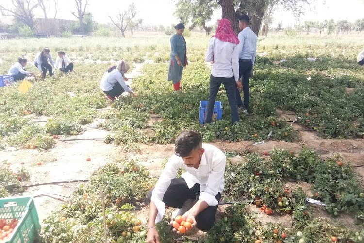 Sri Karan Narendra Agriculture University, Jaipur