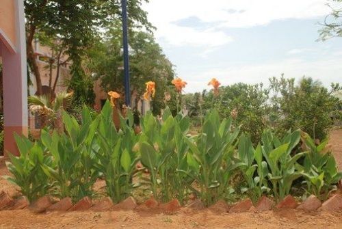 Sri Sarada Niketan College for Women, Sivaganga