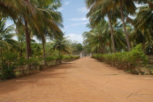 Sri Sarada Niketan College for Women, Sivaganga