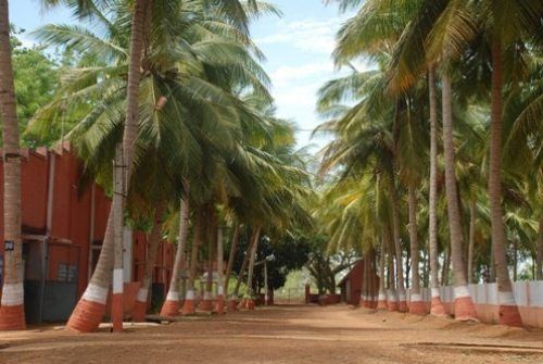 Sri Sarada Niketan College for Women, Sivaganga