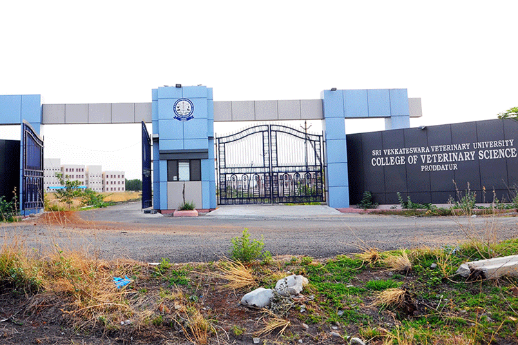 Sri Venkateswara Veterinary University, Tirupati