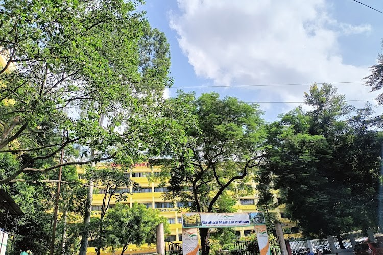 Srimanta Sankaradeva University of Health Sciences, Guwahati