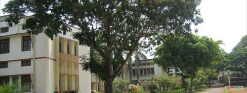 St Aloysius College Elthuruth, Thrissur