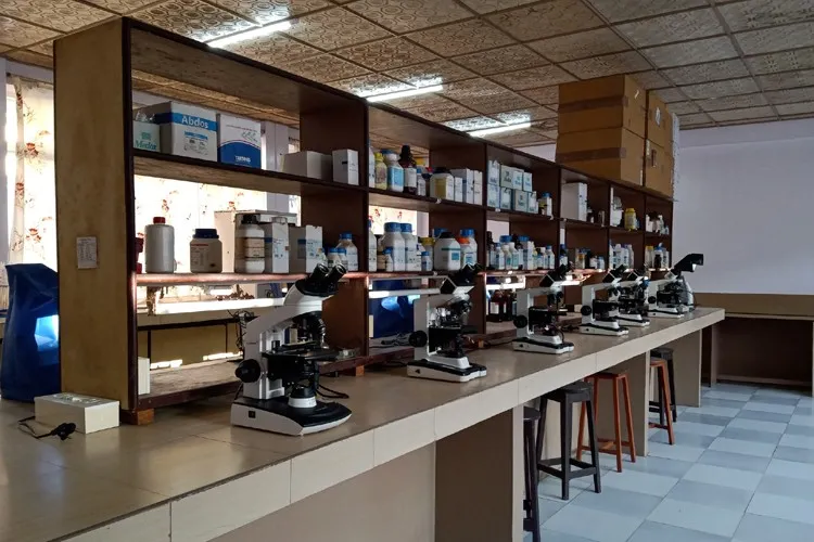 St Anthony's College, Shillong