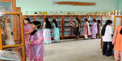 St Joseph's College for Women, Alappuzha