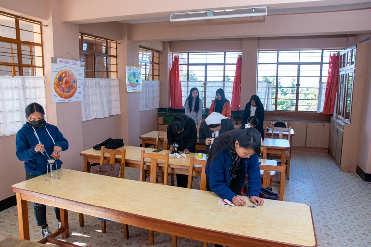 St Mary's College of Teacher Education, Shillong