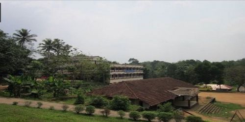 St. Thomas College of Teacher Education, Thodupuzha