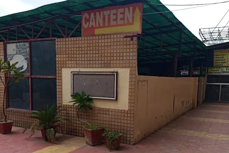 St Wilfred's Group of Colleges, Jaipur