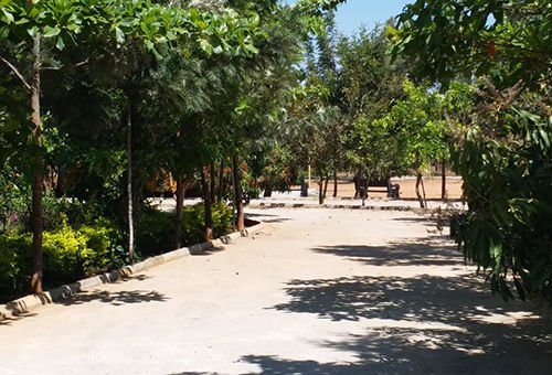 St. Xavier's College, Bangalore