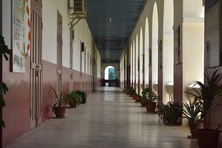 St. Xavier's College, Palayamkottai