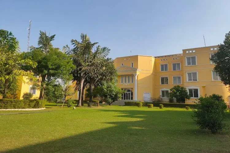 Starex University, Gurgaon