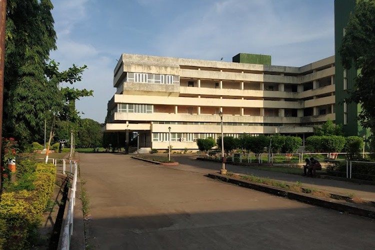 Sudhakarrao Naik Institute of Pharmacy, Yavatmal