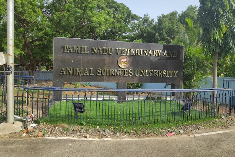 TANUVAS, Chennai