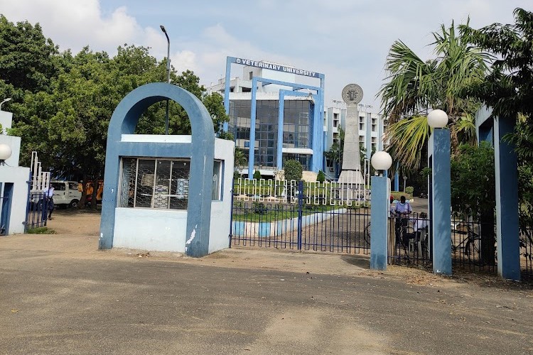 Tamil Nadu Veterinary and Animal Sciences University, Chennai