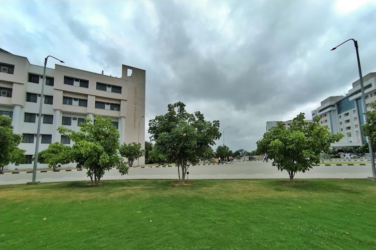 Teerthanker Mahaveer University, Moradabad