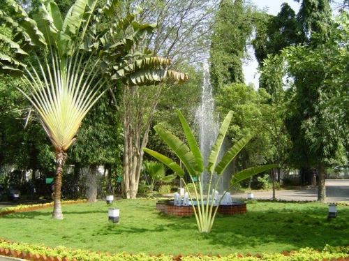 The Institute of Mathematical Sciences, Chennai