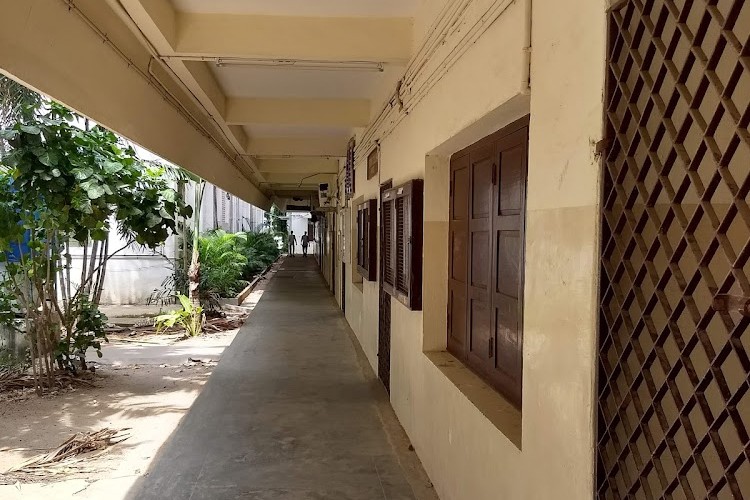 The New College, Chennai