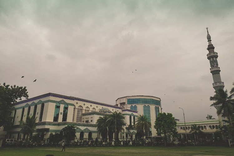 The New College, Chennai