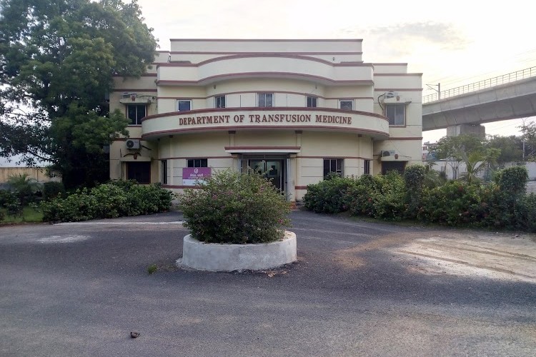 The Tamil Nadu Dr. M.G.R. Medical University, Chennai