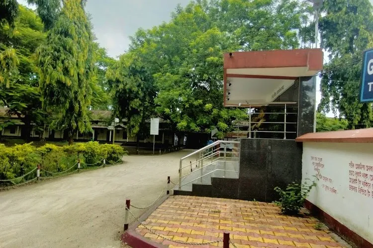 Tinsukia College, Tinsukia