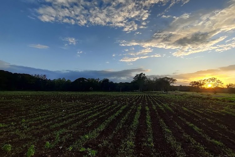 University of Agricultural Sciences, Dharwad