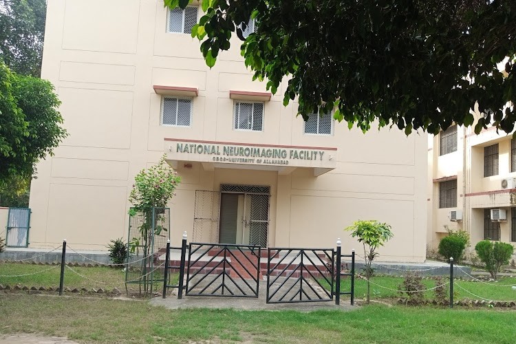 University of Allahabad, Allahabad