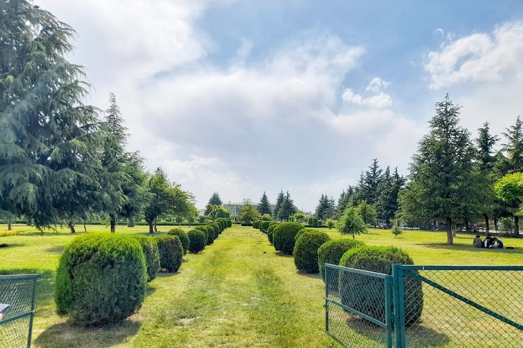 University of Kashmir, Srinagar