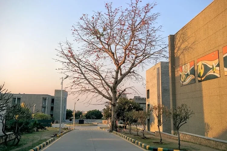 University of Petroleum and Energy Studies, Dehradun