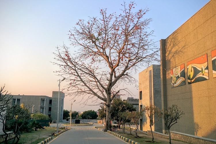 UPES School of Business, Dehradun