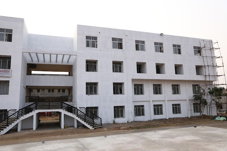 Vaagdevi College of Engineering, Warangal