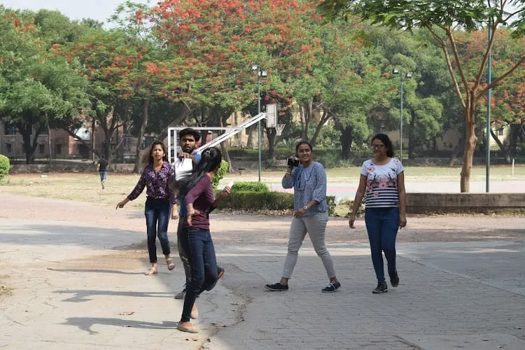 Vaugh Institute of Agricultural Engineering and Technology, Prayagraj