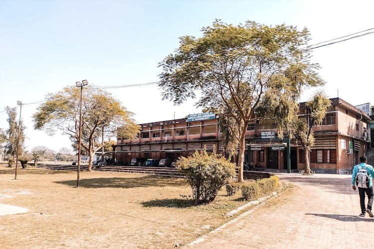 Vaugh Institute of Agricultural Engineering and Technology, Prayagraj