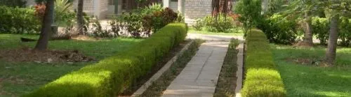 Vinayasadhana Institute of Formative Spirituality and Counselling, Bangalore