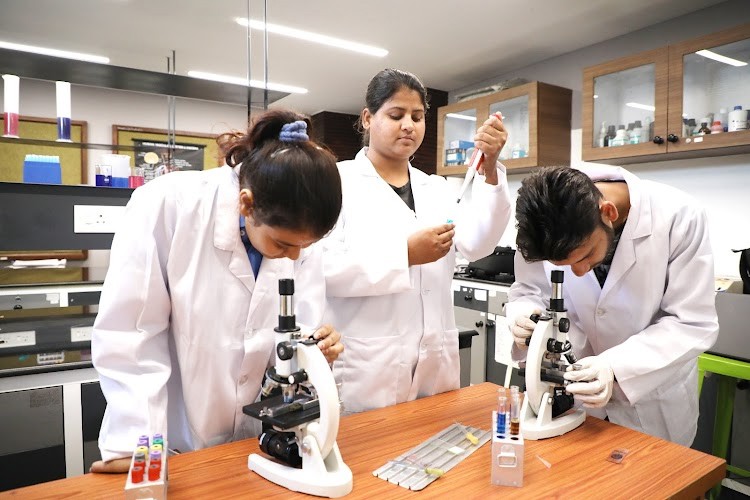 Virohan Institute of Health and Management Sciences, Jyothi Group, Bangalore