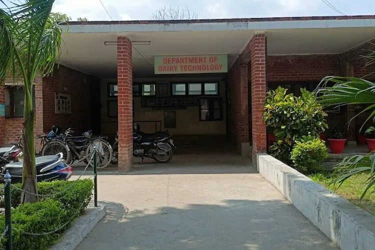 Warner College of Dairy Technology, Prayagraj