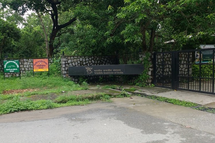 Wildlife Institute of India, Dehradun