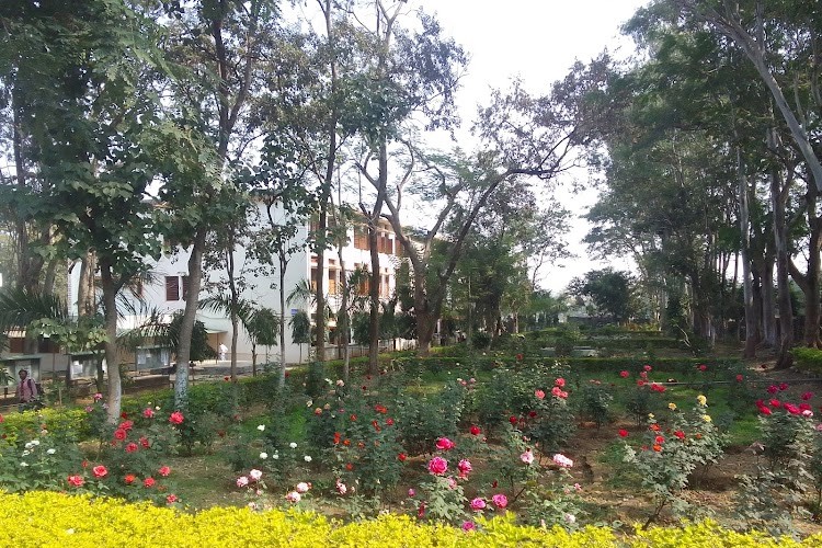 Yogoda Satsanga Mahavidyalaya, Ranchi