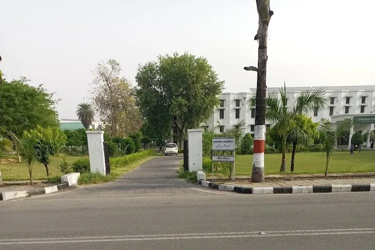 Zakir Hussain College of Engineering and Technology, Aligarh