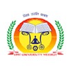 IIMT College of Education, Meerut