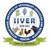 International Institute of Veterinary Education & Research, Rohtak